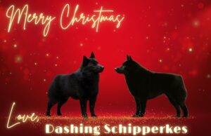 From our pack to yours